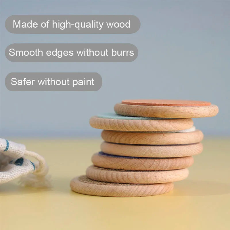 Montessori Wooden Sensory Tactile Boar
