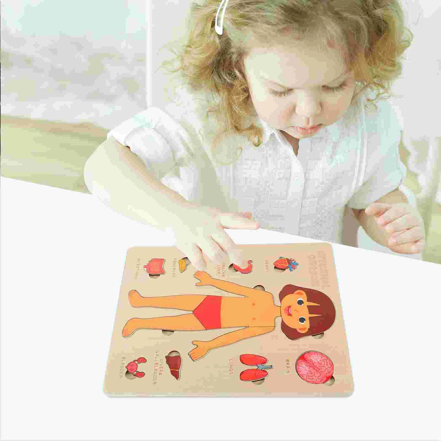 Montessori Wooden Human Body Organs Puzzle
