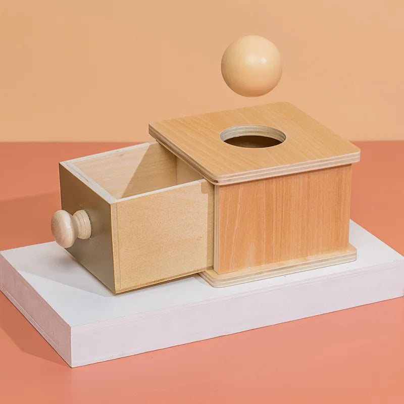Montessori Wooden Toy Set - Object Permanence & Hammer Box